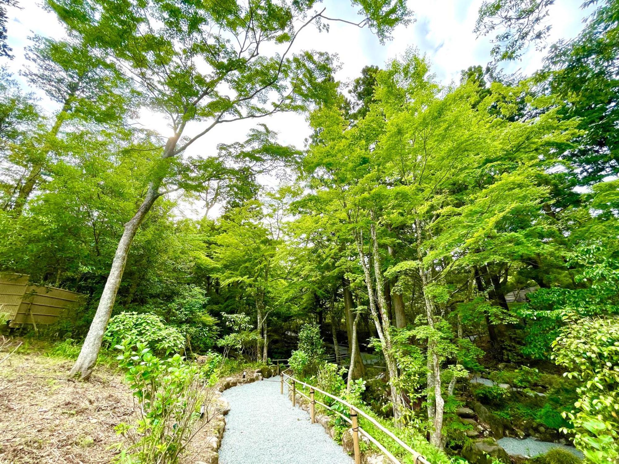箱根小涌园天悠日式旅馆 4* 箱根