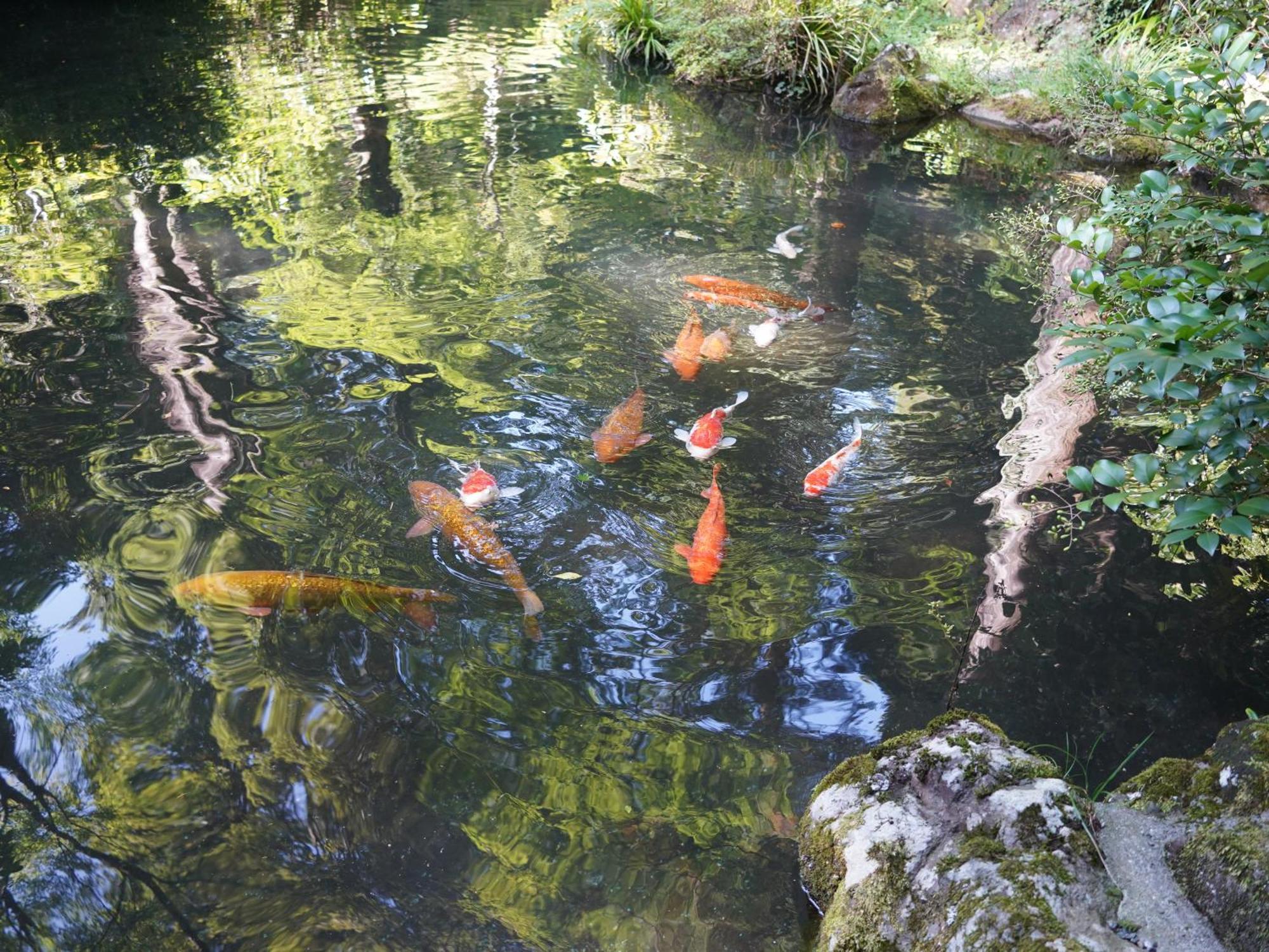 箱根小涌园天悠日式旅馆 4*