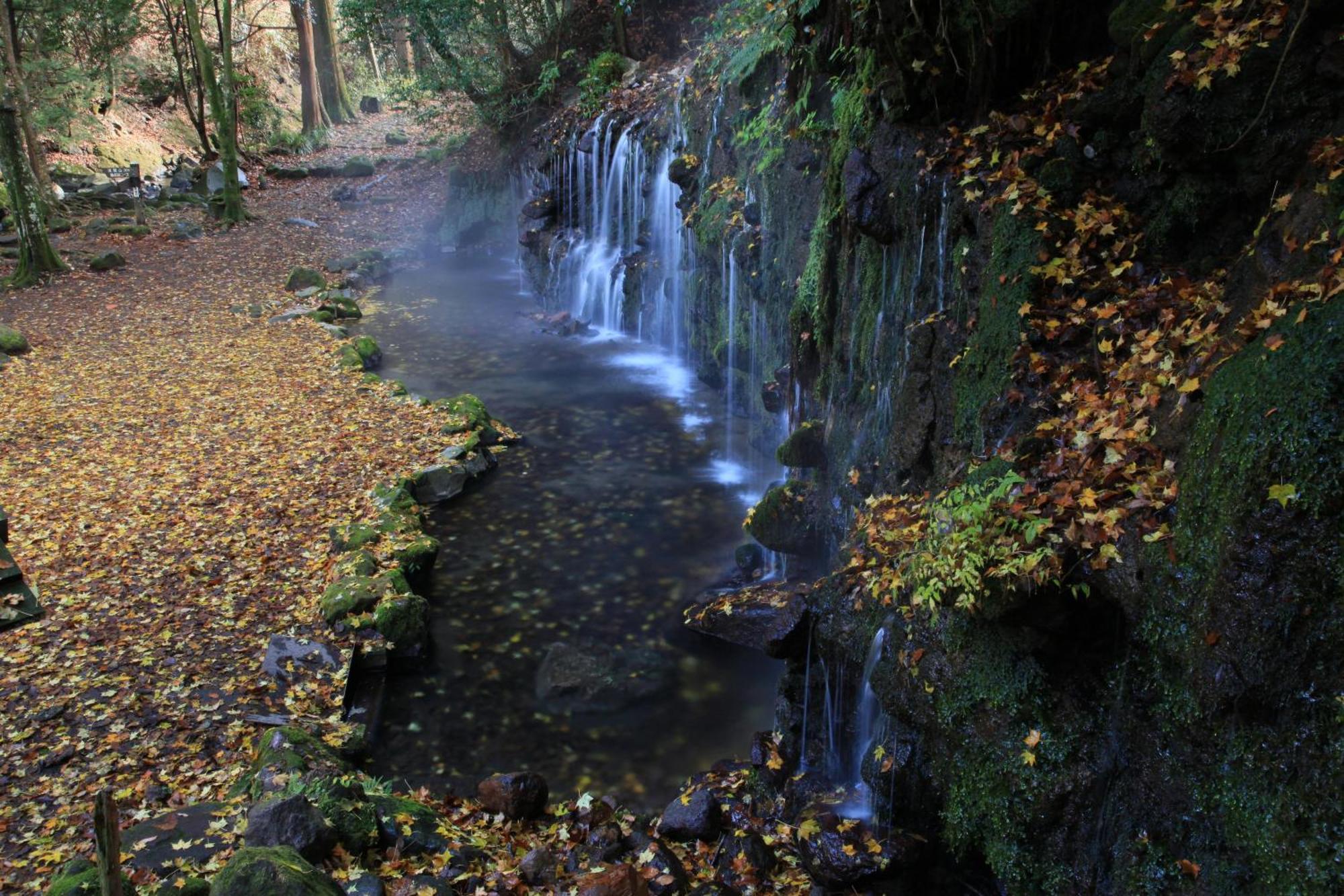 箱根小涌园天悠日式旅馆 传统日式旅馆 4*