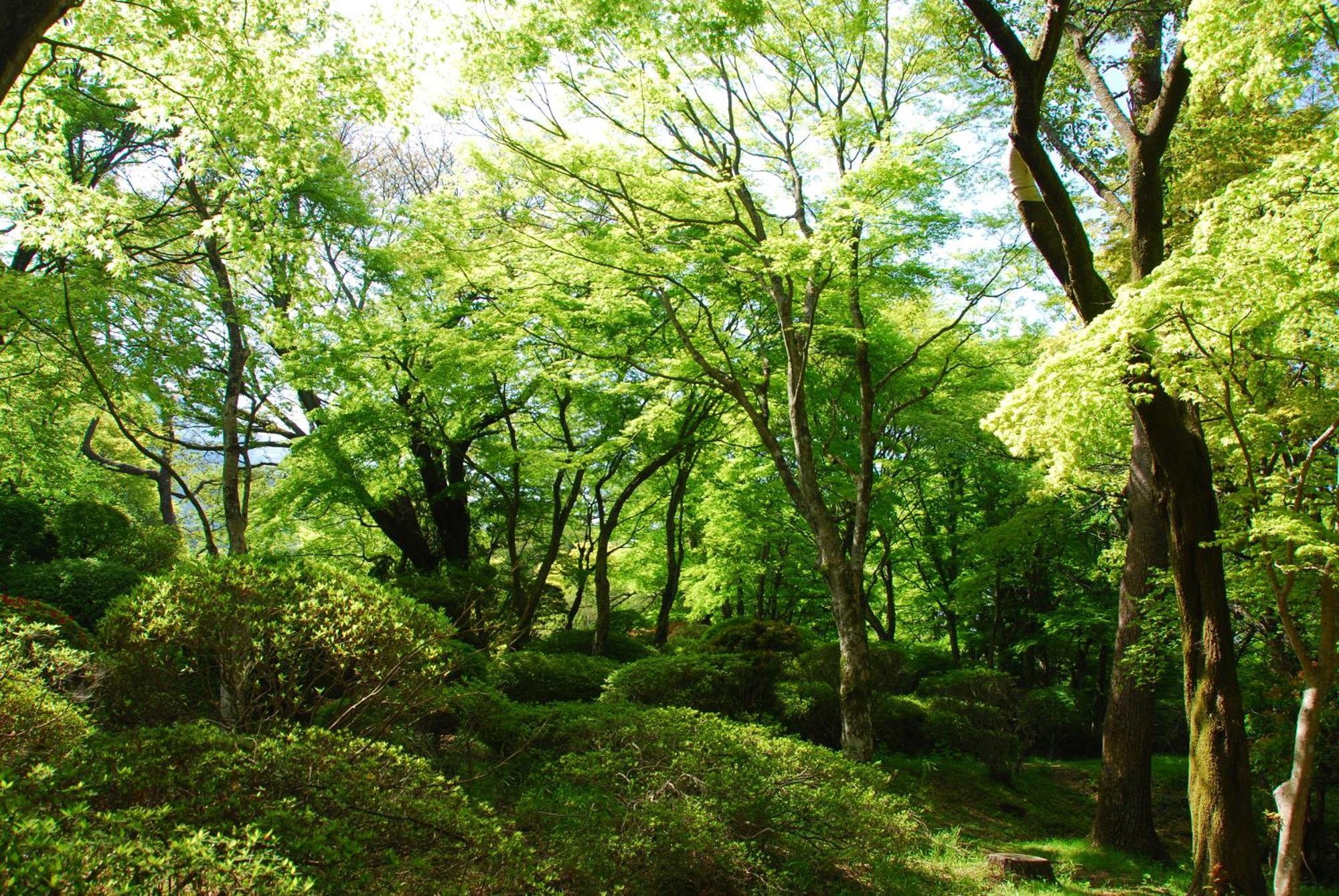 Ryokan Kowakien
